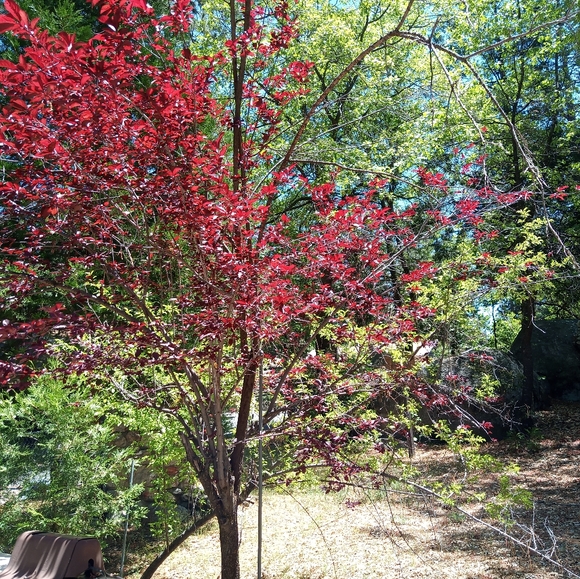 Meet your Posher, Jeanette - Picture 6 of 7